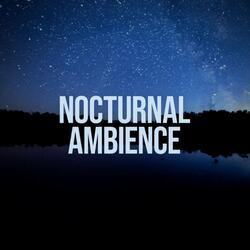 Distant Freight Train Sounds at Night