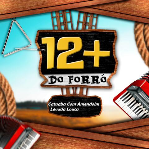 12+ Do Forró