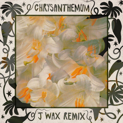 Chrysanthemum
