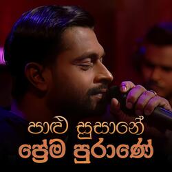 Paalu Susane Prema Purane
