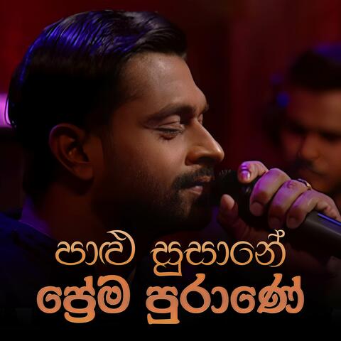 Paalu Susane Prema Purane