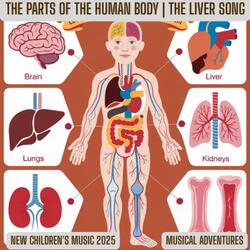 The Parts Of The Human Body | The Liver Song – New Children's Music 2025