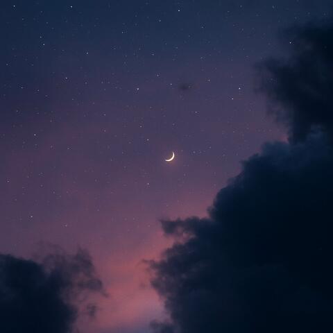 Sleep Music, Vol. 25