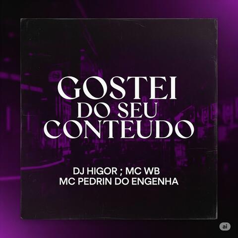 GOSTEI DO SEU CONTEUDO