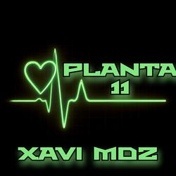Planta 11