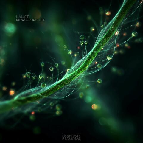 Microscopic Life