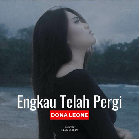 Engkau Telah Pergi
