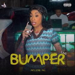 Bumper