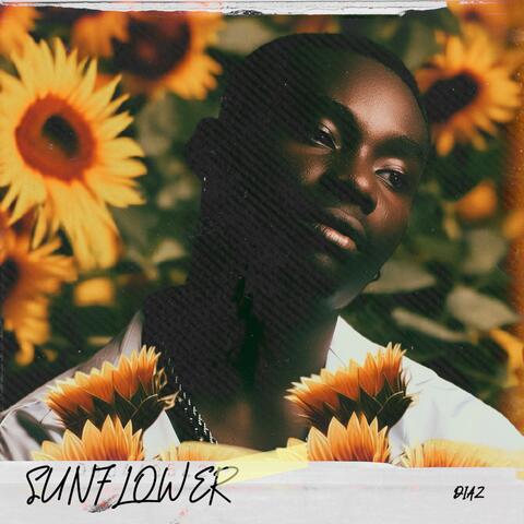 Sun Flower