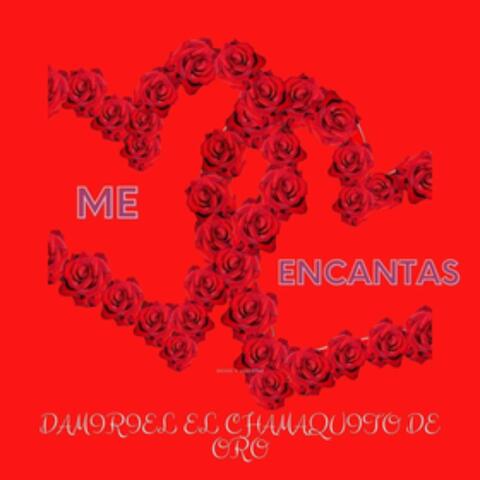 Me Encantas