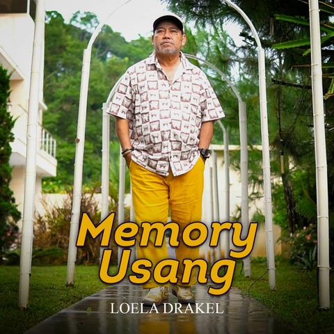 Memory Usang
