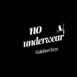 no underwear