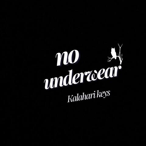no underwear