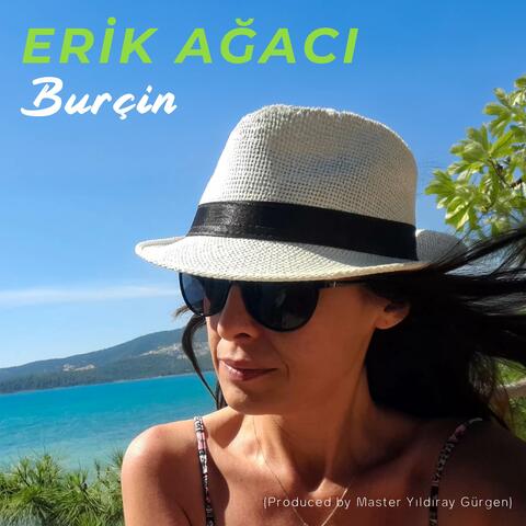 Erik Ağacı