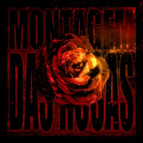 Montagem das Rosas