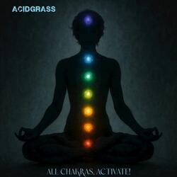 Sacral Chakra Activation