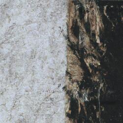 Staring Through An Open Door