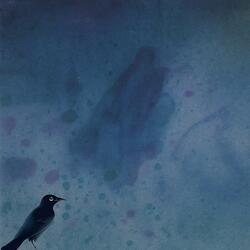 Paint Splatter