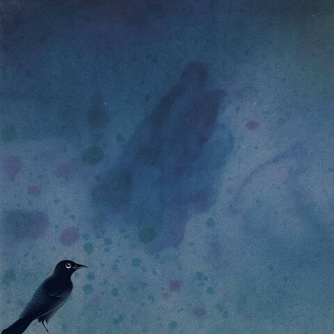 Paint Splatter