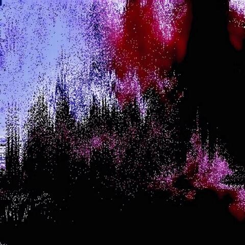 This Forest Is a Mouth
