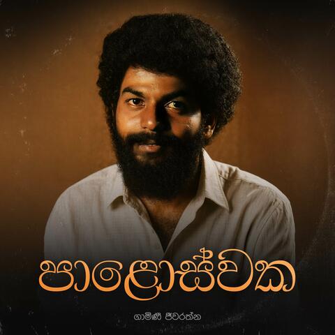 Paloswaka Pura Handata