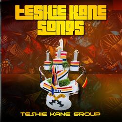 Teshie Kane songs