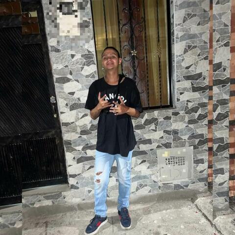 Poniendo a perrear