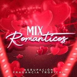 Mix Románticos (Tu Traición / Perdiste Corazón / Amor Te Necesito)