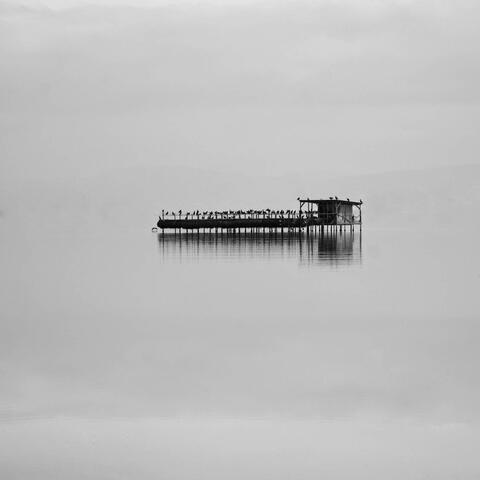 Escapes of the Mind