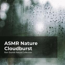 Serene Earthy Rain