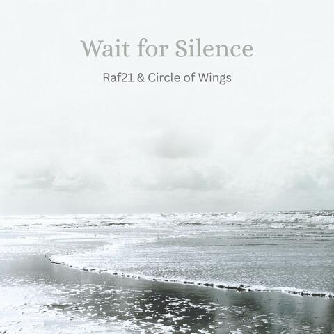 Wait for Silence