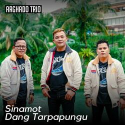 Sinamot Dang Tarpapungu