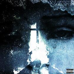 Porcelain Dinner Plate