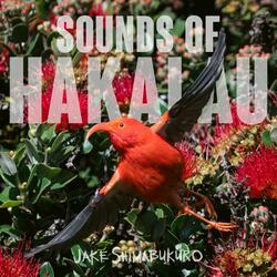 Sounds Of Hakalau