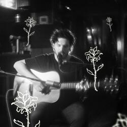 Les fleurs de l'aube