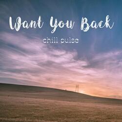 Want You Back
