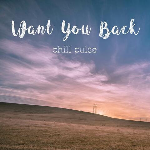 Want You Back