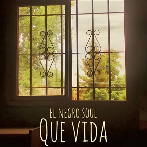 - QUE VIDA -