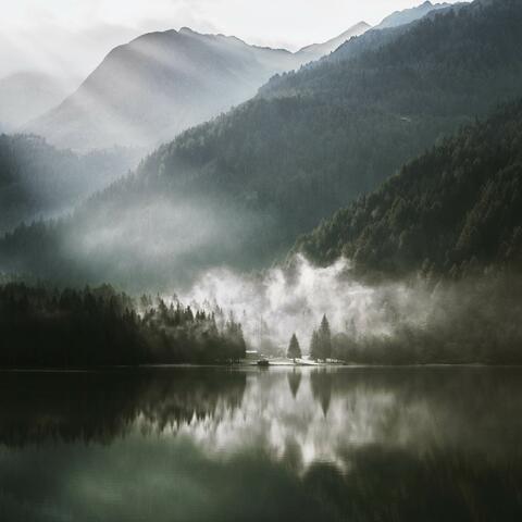 Verdance