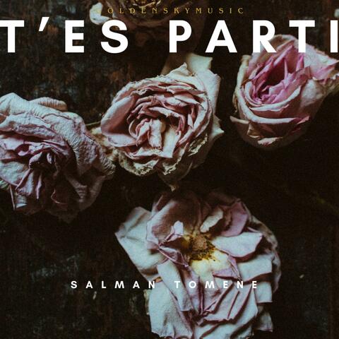 TE PARTI