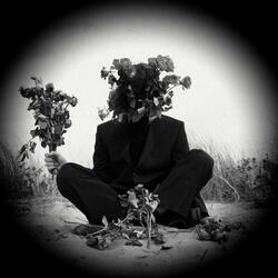 This Is How I Sleep At Night