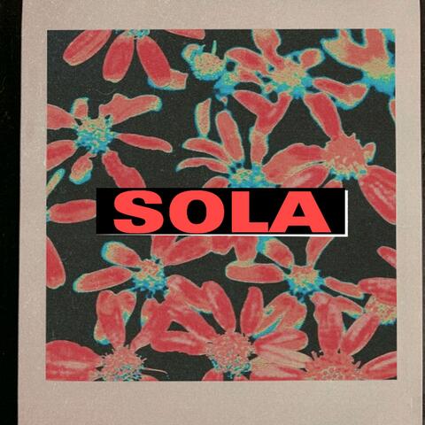 Sola