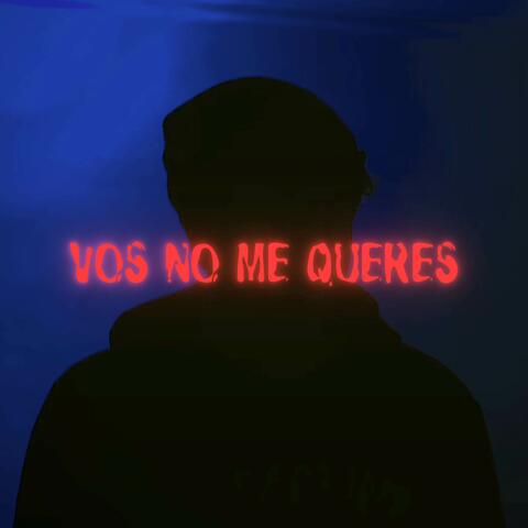 Vos no me queres