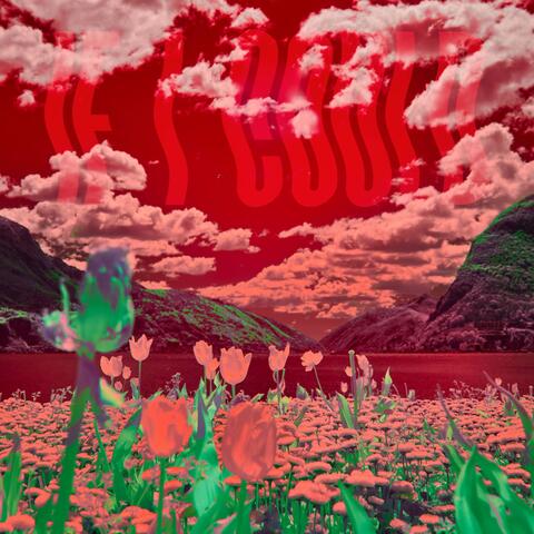 If I Could