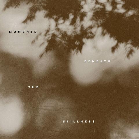 Beneath the Stillness