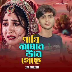 Pakhi Amar Ure Geche