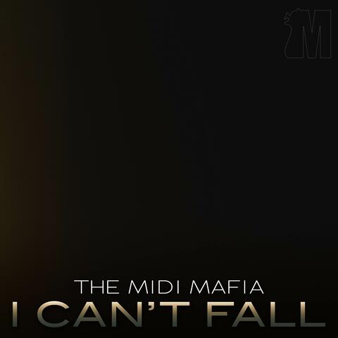 I Can't Fall