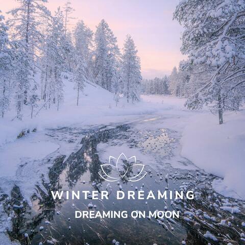 Winter Dreaming