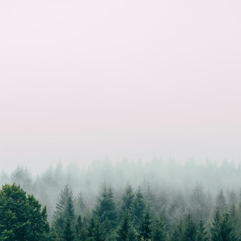 Mistfall