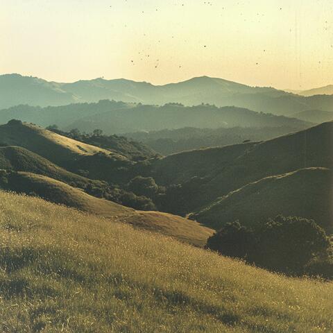 By the Hills